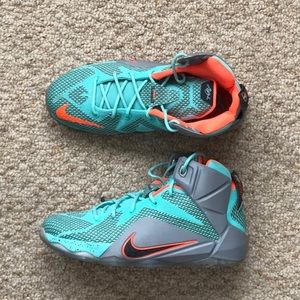 Nike Lebron 12’s.